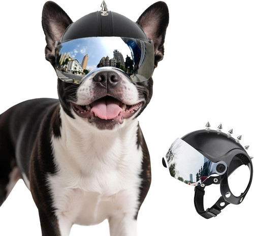 Dog helmet for small - dog, small-medium