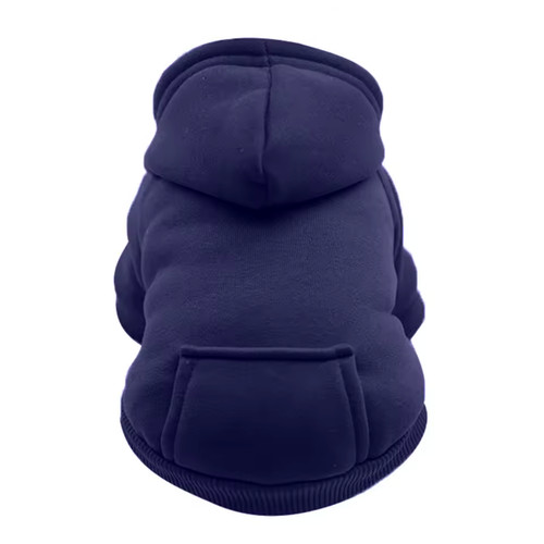 Pet dog winter - pet,