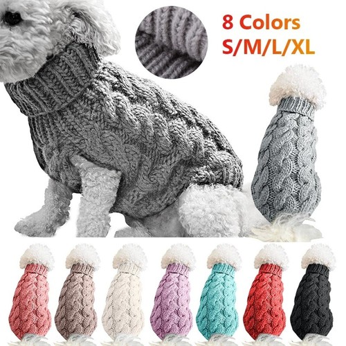 Pet puppy dog - puppy, winter