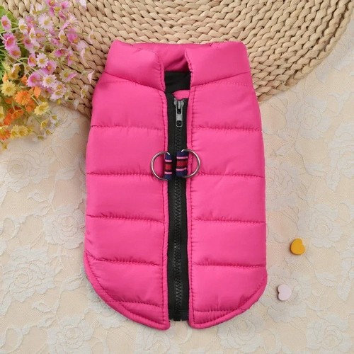 Dog winter jacket waterproof - jacket,,