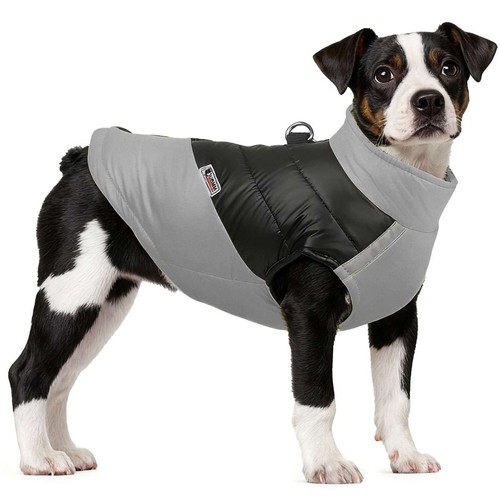 Dog winter jacket waterproof - winter, jacket,