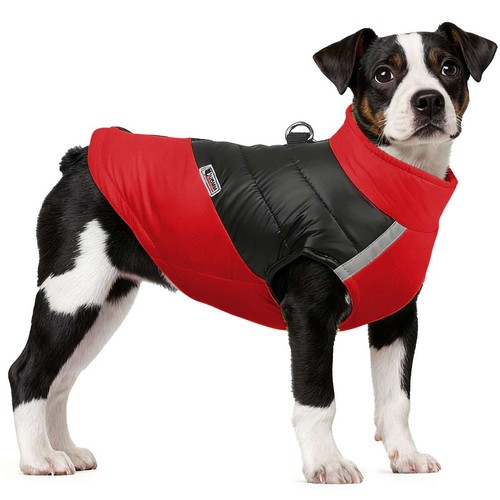Dog winter jacket waterproof - dog,