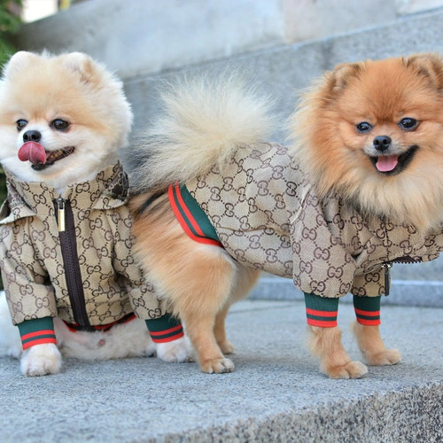 Cute stylish pet hoodie - pet,