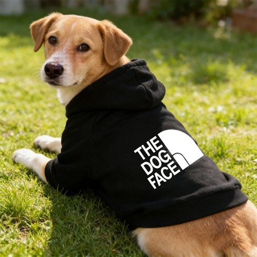 Pet dog hoodie winter - pet,